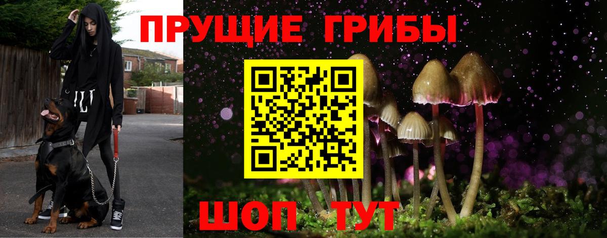 Галлюциногенные грибы GOLDEN TEACHER  Вход с VPN  Обь 