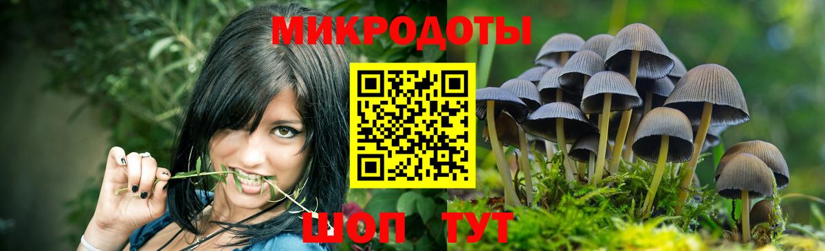 Галлюциногенные грибы Psilocybe Обь